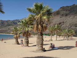 Teneriffa - Playa de las Teresitas